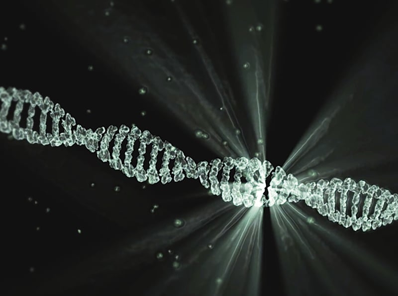 DNA in Space